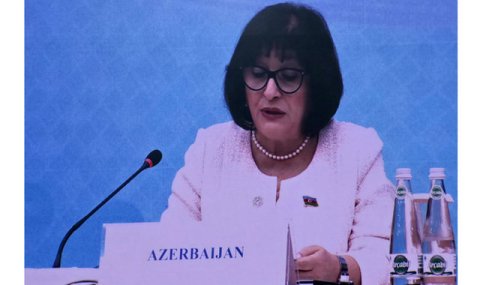 Азербайджан поделился опытом устойчивого развития на Парламентском форуме в Авазе