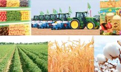 АПК Туркменистана расширяет производство и демонстрирует рост