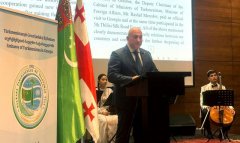 Международную конференцию в Грузии посвятили нейтралитету Туркменистана