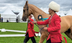 Туркменские ахалтекинцы завоевали шесть наград на чемпионате в Нидерландах
