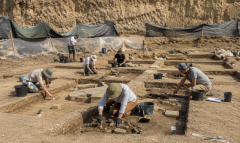 В Испании нашли 2500-летнюю ритуальную колесницу