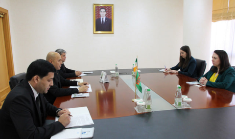 В МИД Туркменистана состоялась встреча с новым послом Ирландии