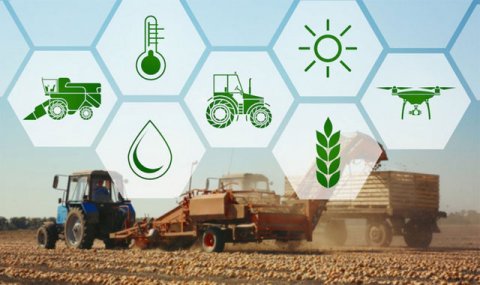 Производство агропродукции в Туркменистане демонстрирует рост