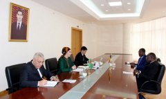 В МИД Туркменистана приняли копии верительных грамот Посла Республики Чад