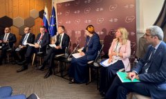 Туркменистан принял участие в юбилейном Бледском стратегическом форуме