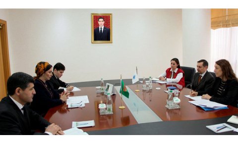 В МИД Туркменистана прошла встреча с Региональным представителем УВКПЧ ООН